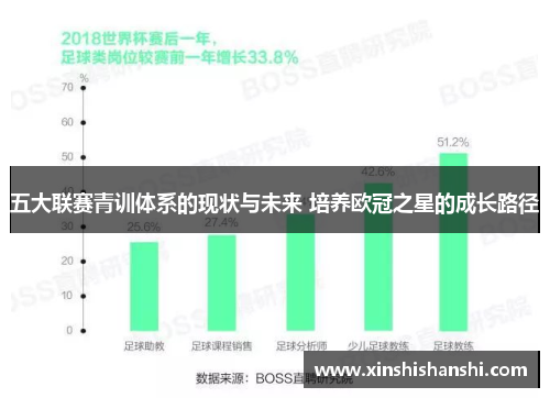 五大联赛青训体系的现状与未来 培养欧冠之星的成长路径